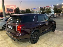 هیوندای پالیسەید